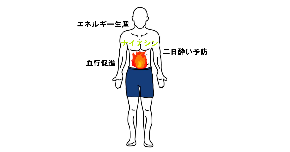 ペラグラ 健モテ ドットコム Sukomote Com ペラグラ 健モテ ドットコム Sukomote Com